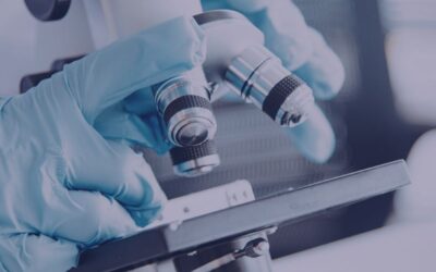 Journée mondiale de la santé 2026 : agir ensemble